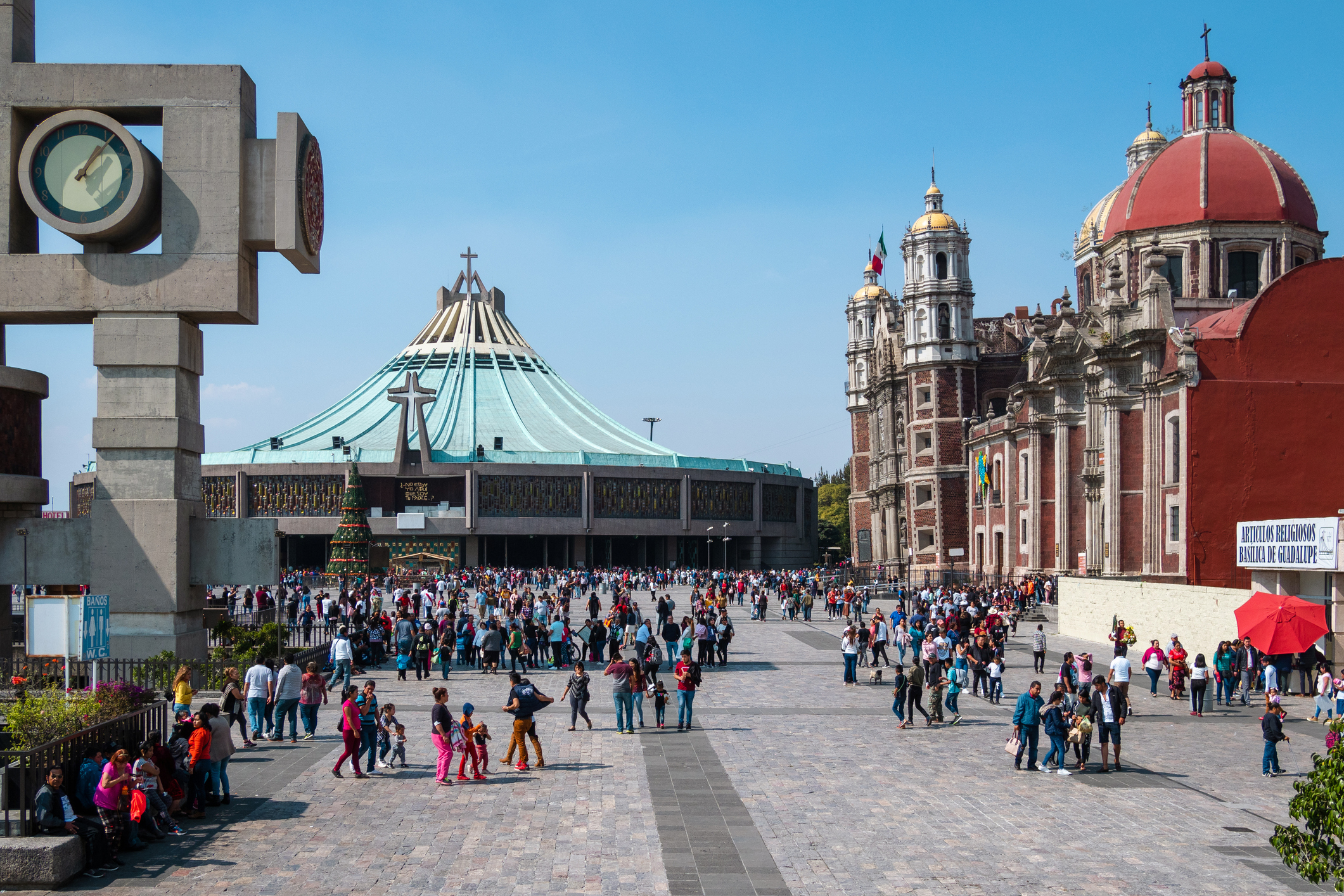 Mexico Campaign Results